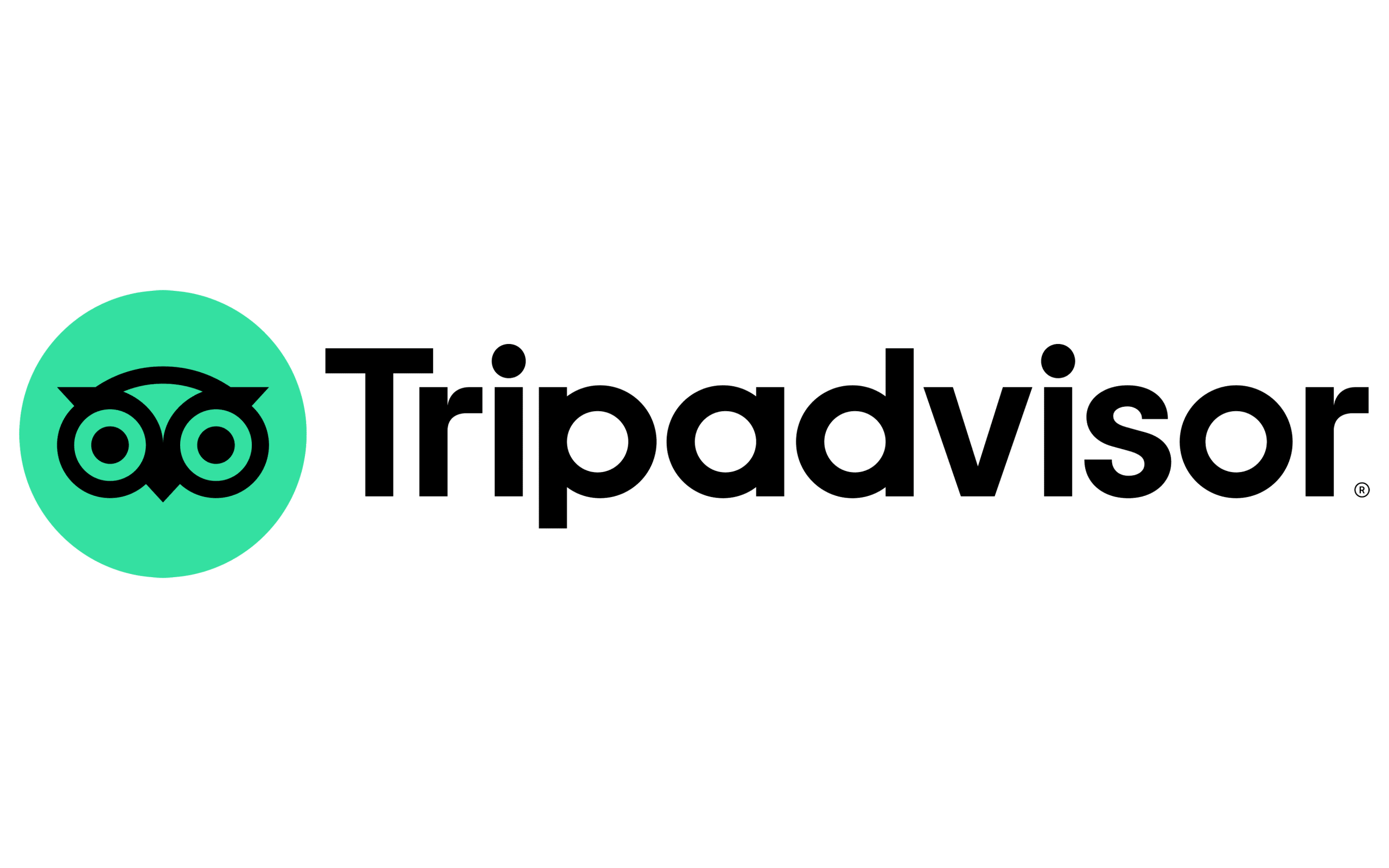 Tripadvisor-Logo